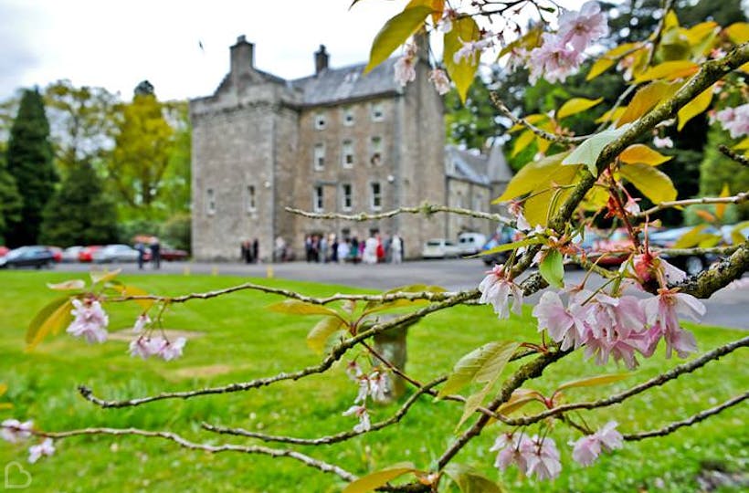 mntgrcayms70qy1gg0uq